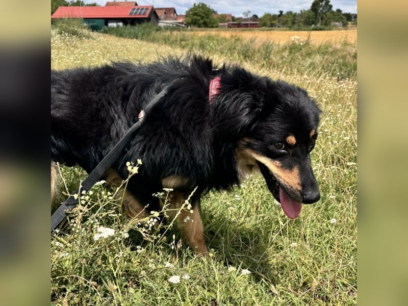 Fredi ein wundervoller Freund fürs Leben