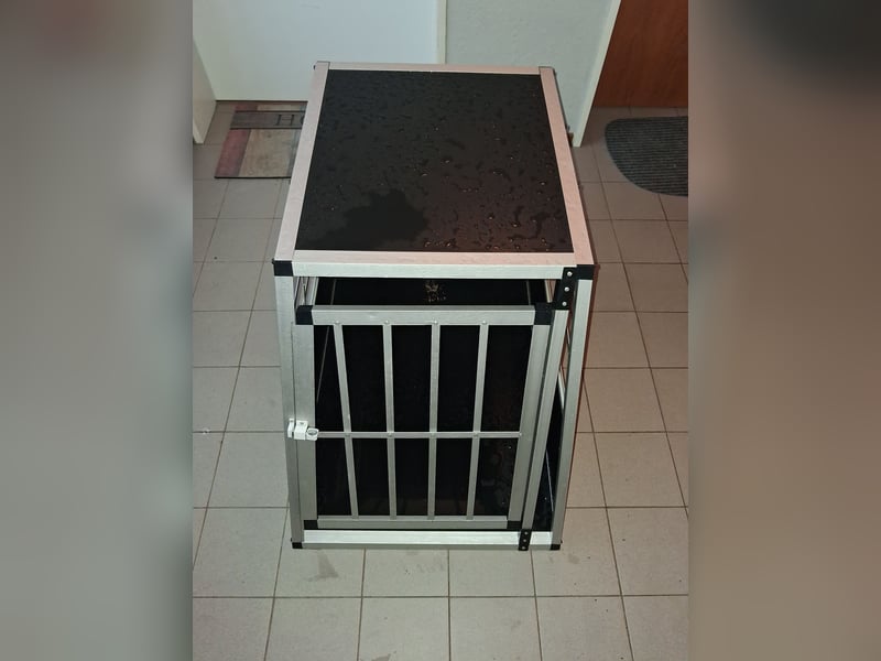 Hunde - Transportbox