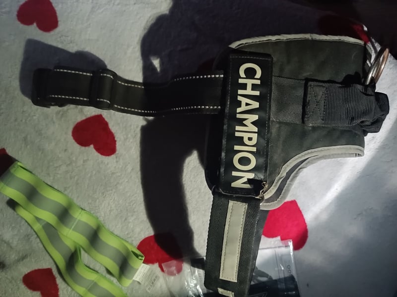 Hunde kraftgeschirr/Brustgeschirr mit griff L + 4 klettsticker & reflektierend Gürtel - großes Set