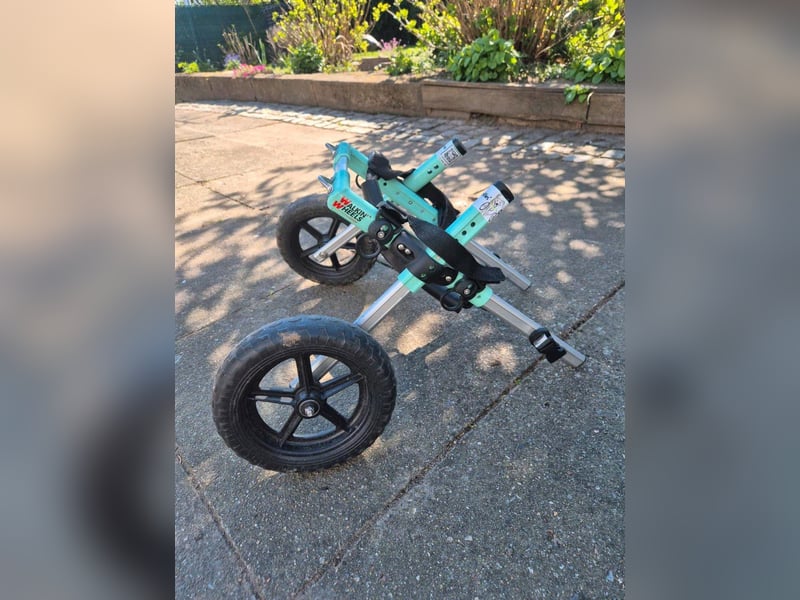 Hunde-Rollwagen / Hunde-Rolli – verstellbar – gebraucht