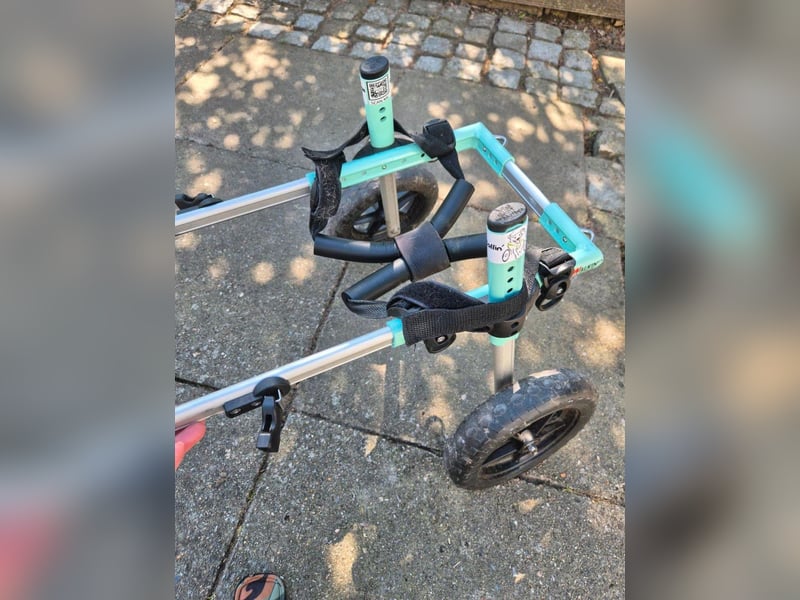 Hunde-Rollwagen / Hunde-Rolli – verstellbar – gebraucht