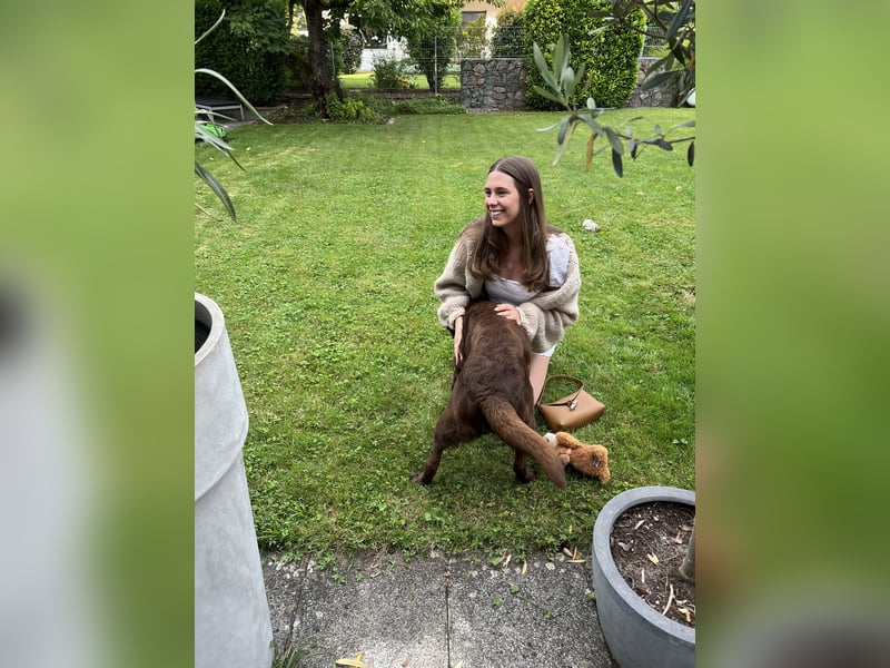 Hundebetreuung in Frankfurt gesucht? Hier bin ich :)