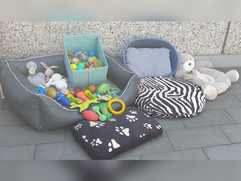 Hundebett / Hundespielzeug / Hunde Zubehör