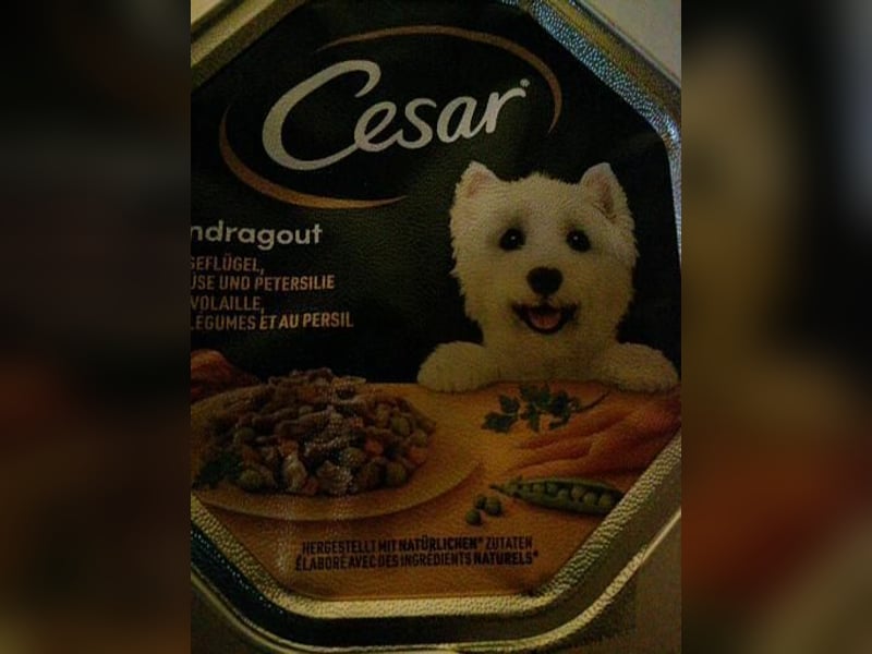 Hundefutter zu verkaufen.