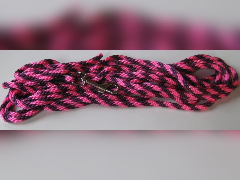 Hundeleine Laufleine 5 m kleine bis mittelgroße Hunde Training Fährte