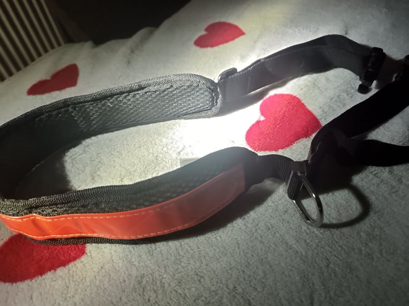 Hundezubehör Trekking-/ Brustgeschirr schwarz verstellbar L + Jogging-gürtel reflektierend