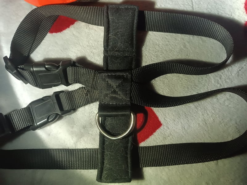 Hundezubehör Trekking-/ Brustgeschirr schwarz verstellbar L + Jogging-gürtel reflektierend