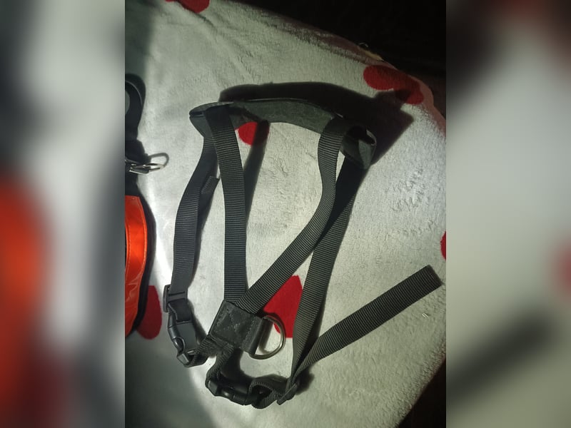 Hundezubehör Trekking-/ Brustgeschirr schwarz verstellbar L + Jogging-gürtel reflektierend