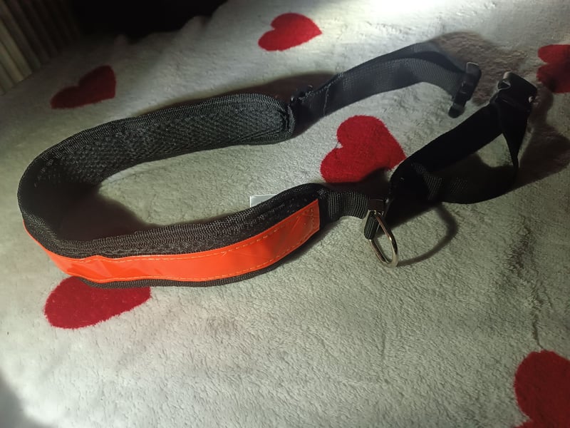 Hundezubehör Trekking-/ Brustgeschirr schwarz verstellbar L + Jogging-gürtel reflektierend