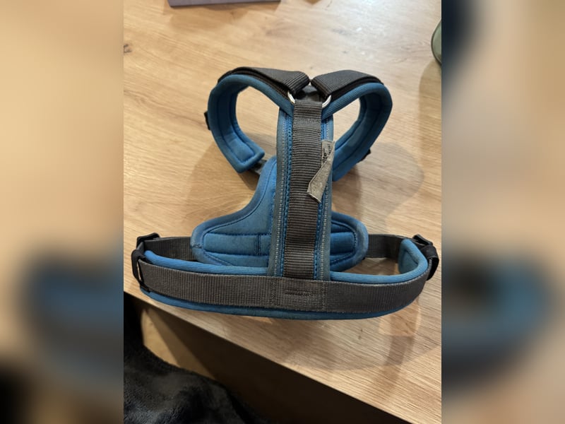 HUNTERS Hundegeschirr