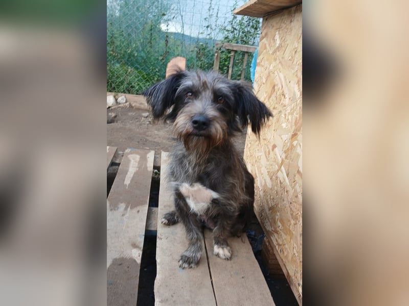 Menschenbezogene NALA braucht eine Familie!