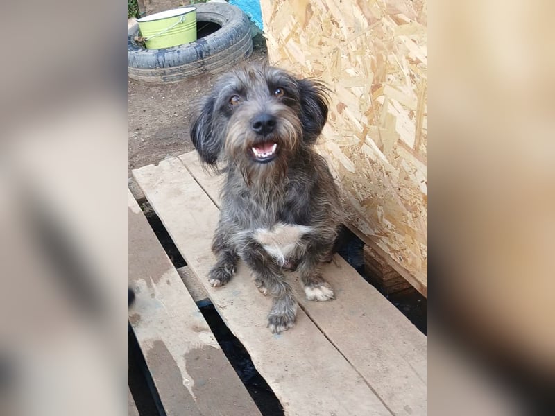 Menschenbezogene NALA braucht eine Familie!