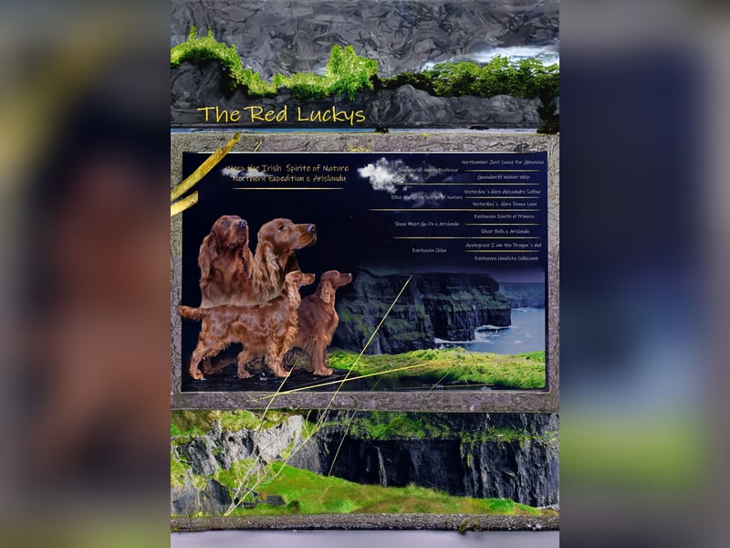 Valentinstags Irish Setter Welpen mit FCI- und VDH-Papieren