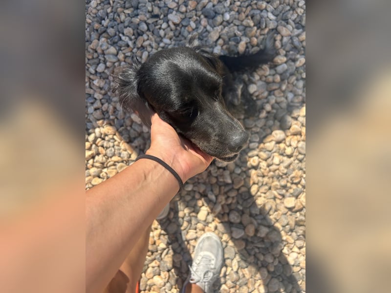 NOVA sucht ihr Glück ❤️