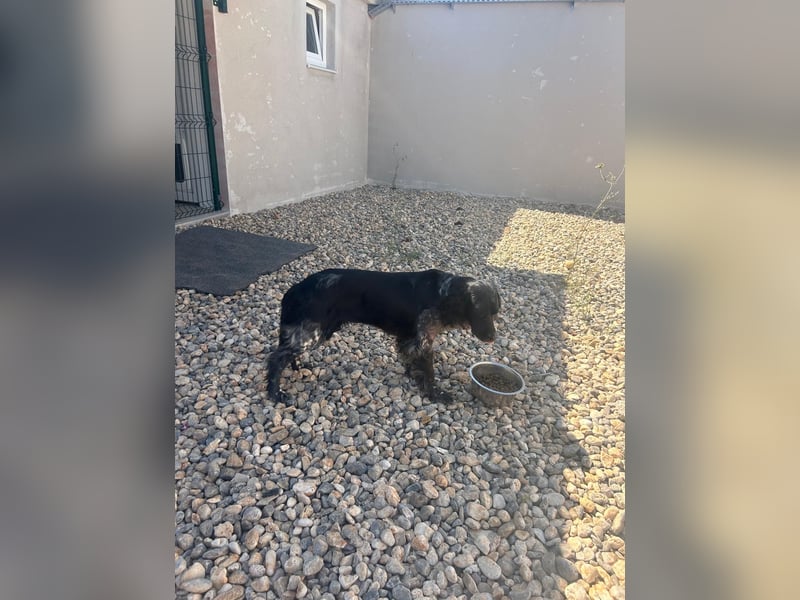 NOVA sucht ihr Glück ❤️