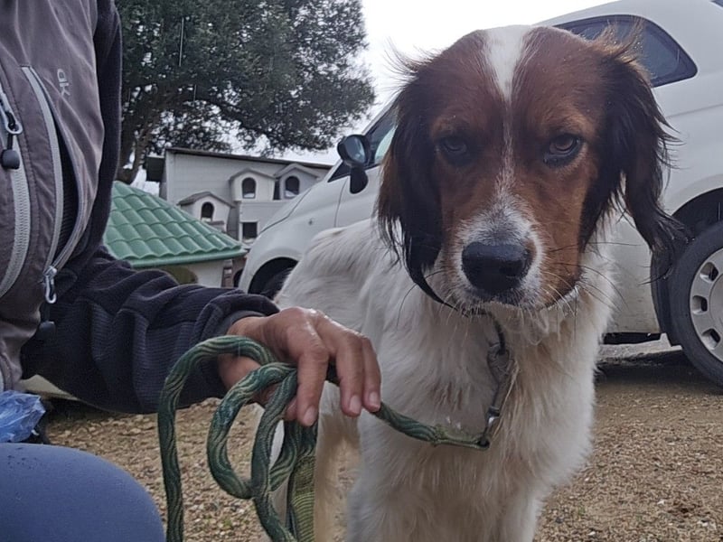 Brex: perfekt für Homeoffice und tolle Spaziergänge