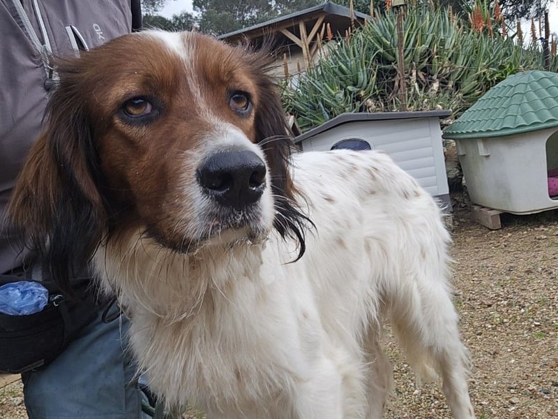 Brex: perfekt für Homeoffice und tolle Spaziergänge