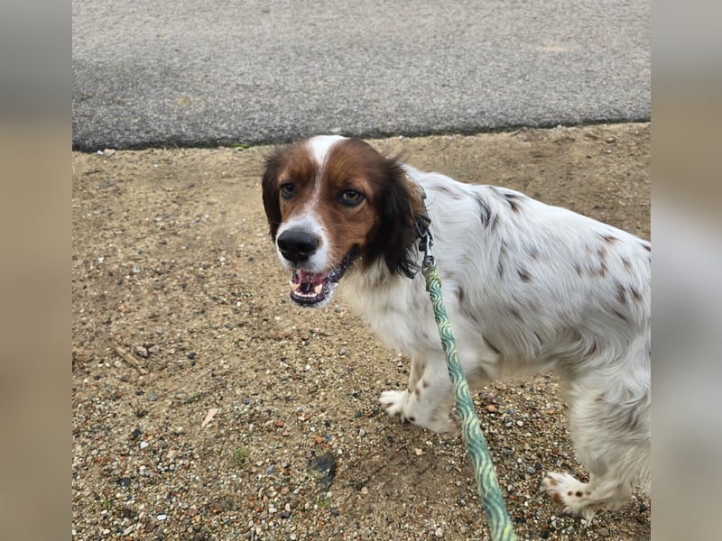 Brex: perfekt für Homeoffice und tolle Spaziergänge