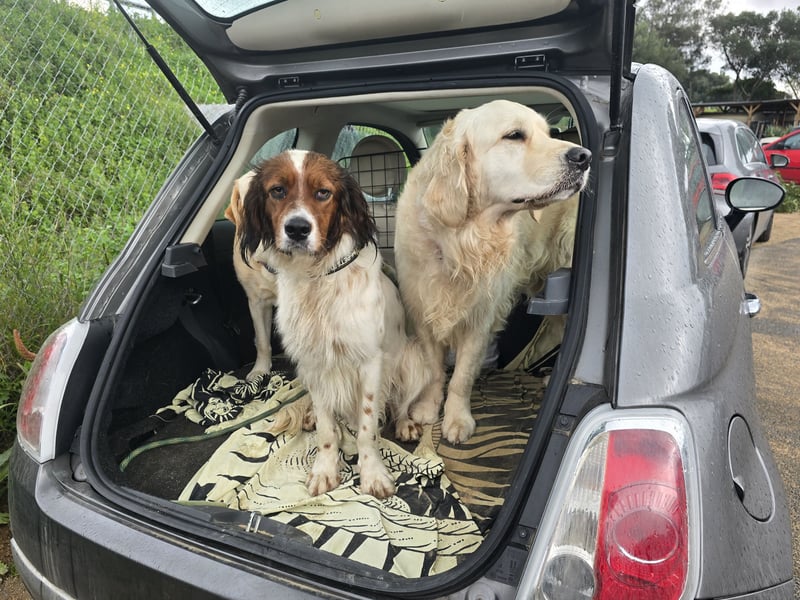 Brex: perfekt für Homeoffice und tolle Spaziergänge