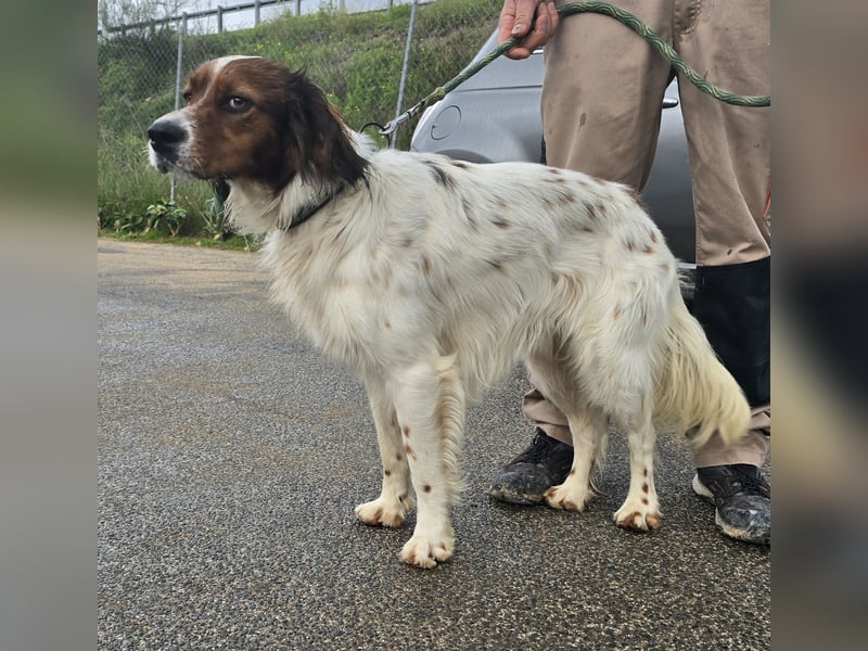 Brex: perfekt für Homeoffice und tolle Spaziergänge