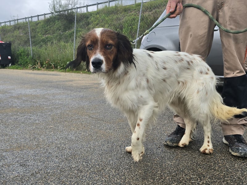 Brex: perfekt für Homeoffice und tolle Spaziergänge