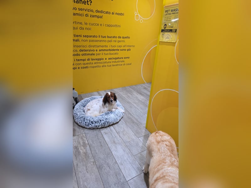 Brex: perfekt für Homeoffice und tolle Spaziergänge