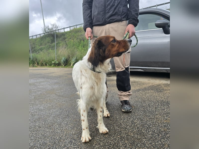 Brex: perfekt für Homeoffice und tolle Spaziergänge
