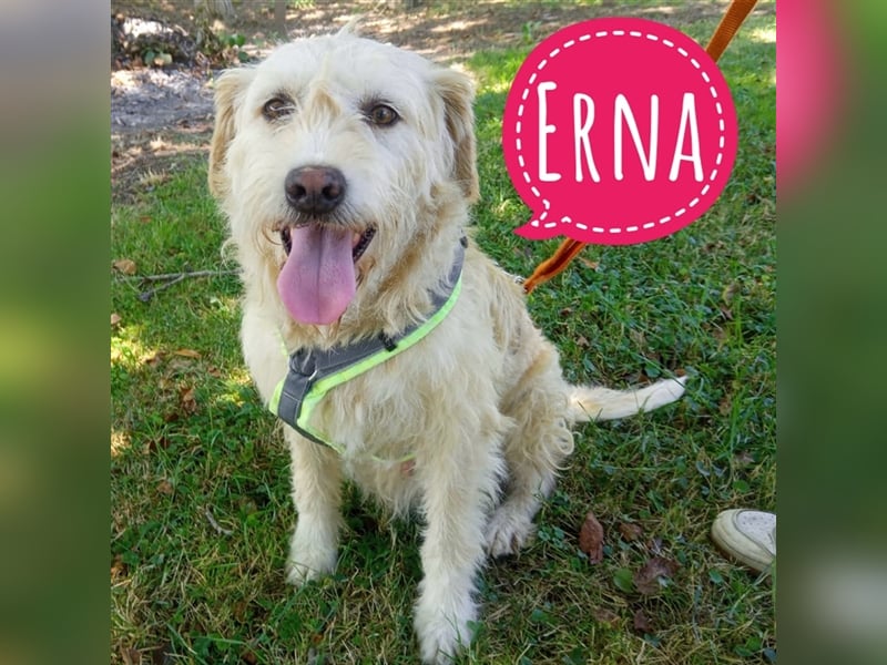 Erna ein Goldschatz