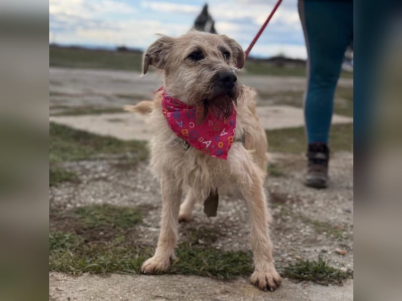 Uma ein freundlicher Engel