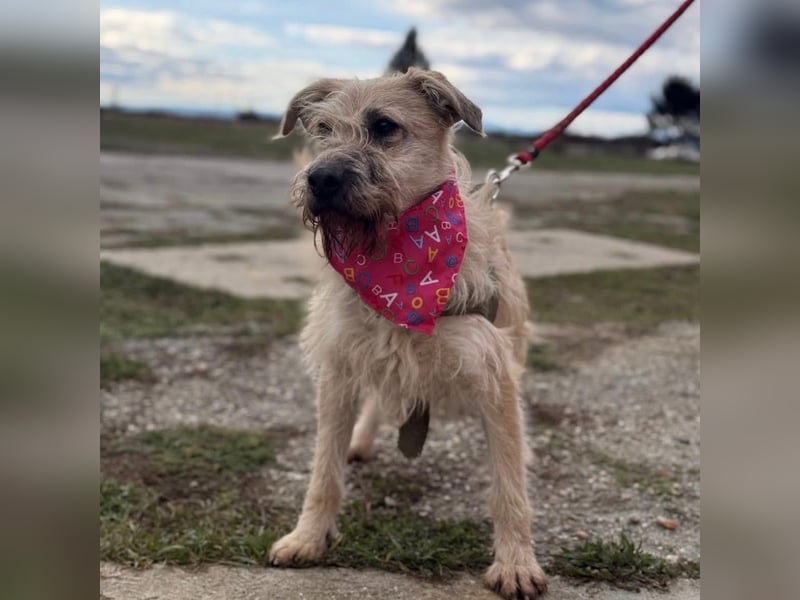 Uma ein freundlicher Engel