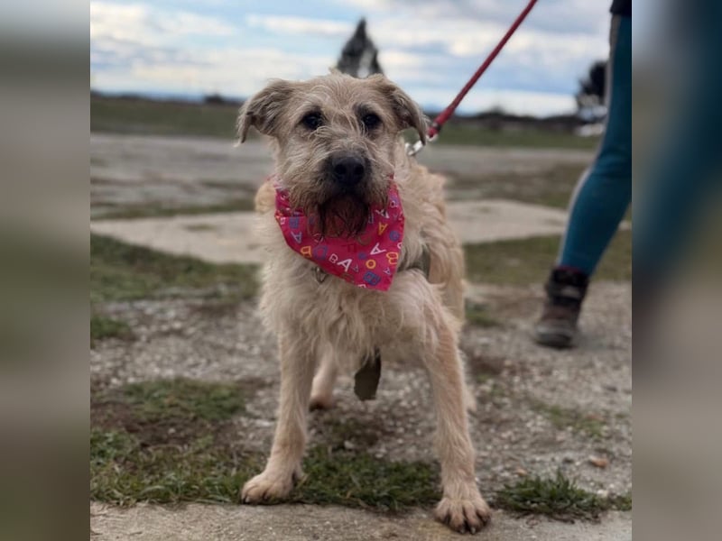 Uma ein freundlicher Engel