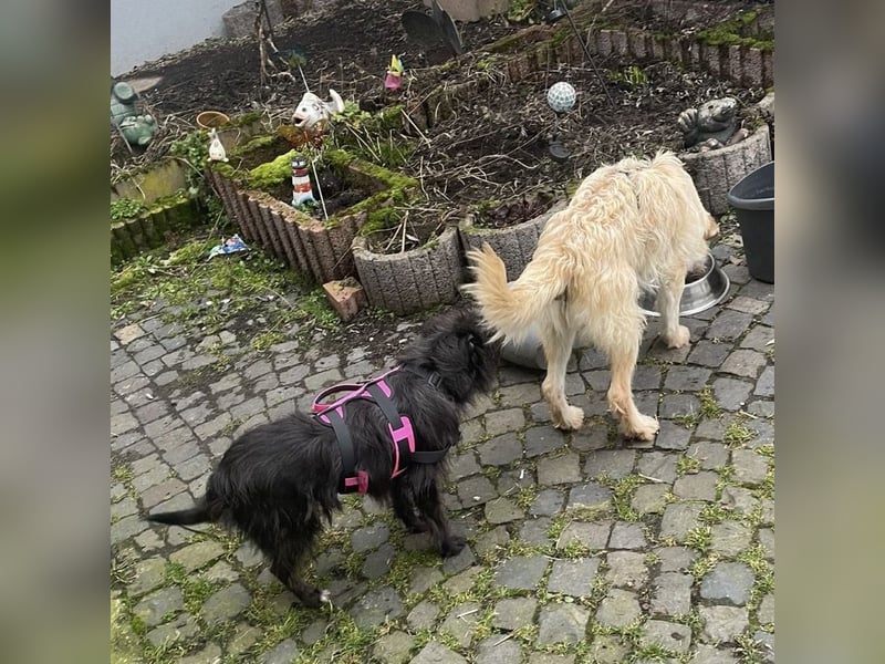 Uma ein freundlicher Engel