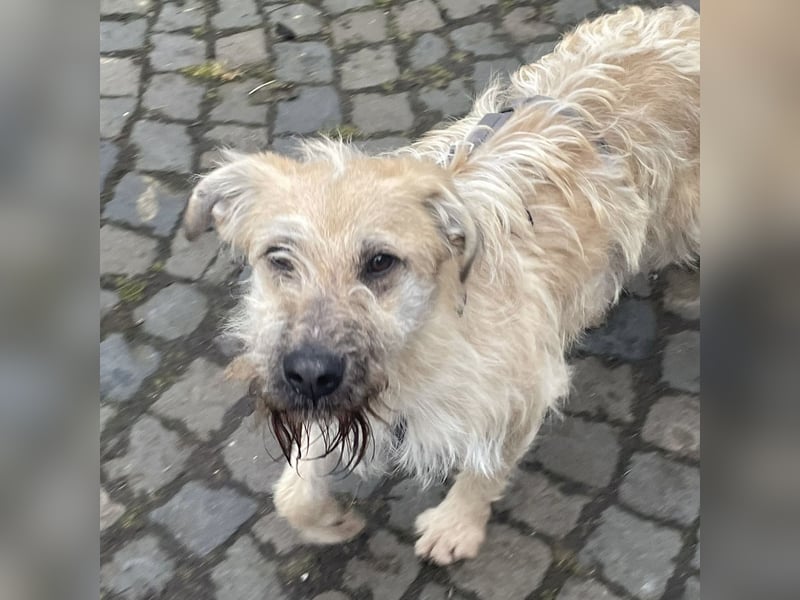 Uma ein freundlicher Engel