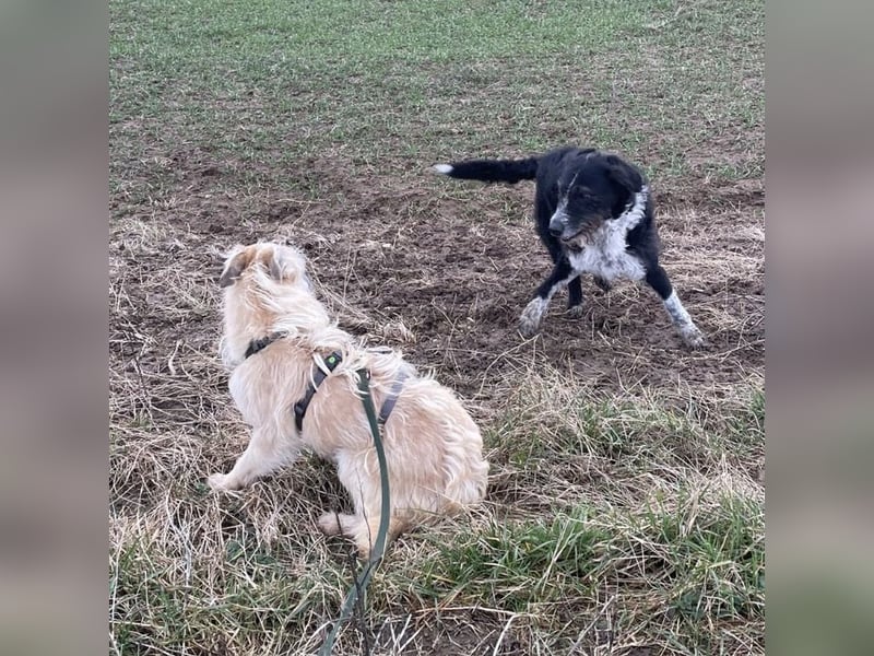 Uma ein freundlicher Engel