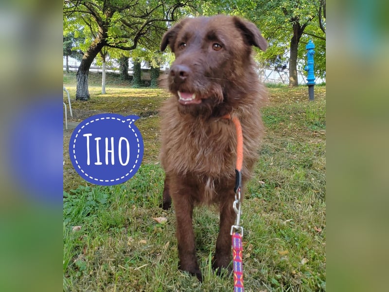Tiho hofft auf eine Familie
