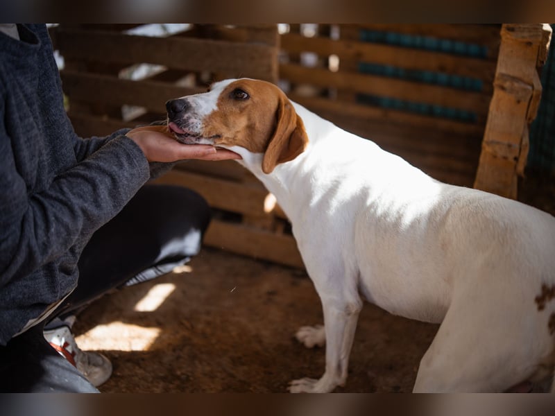 Jaron ❤️ aktiv, intelligent & so lieb!
