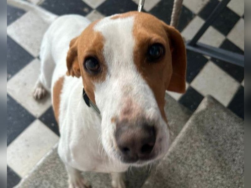 Jaron ❤️ aktiv, intelligent & so lieb!