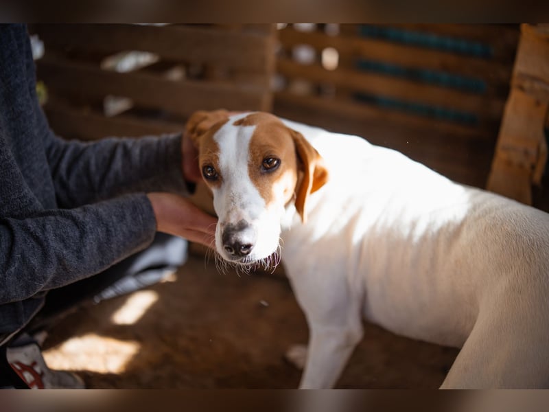 Jaron ❤️ aktiv, intelligent & so lieb!