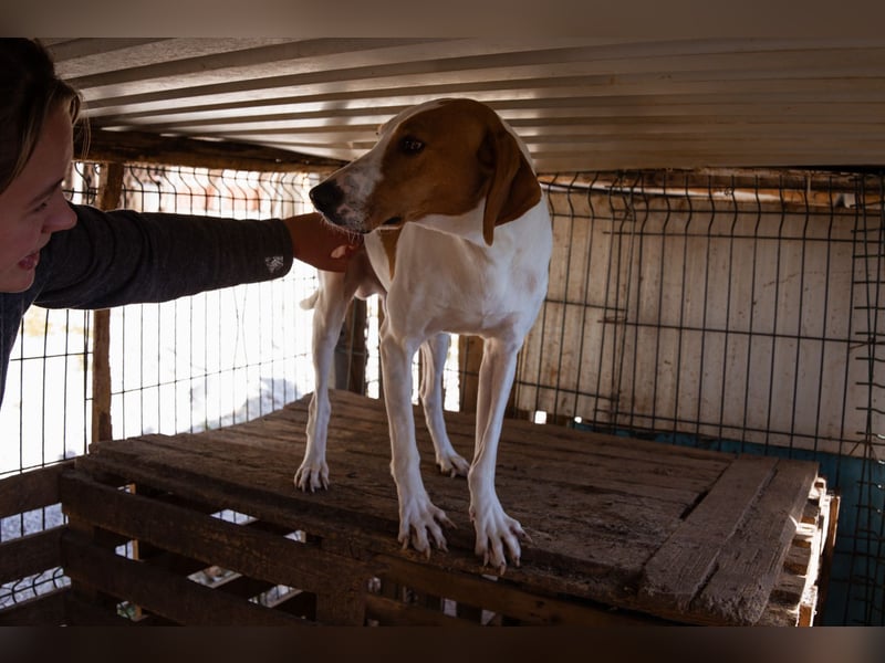 Jaron ❤️ aktiv, intelligent & so lieb!