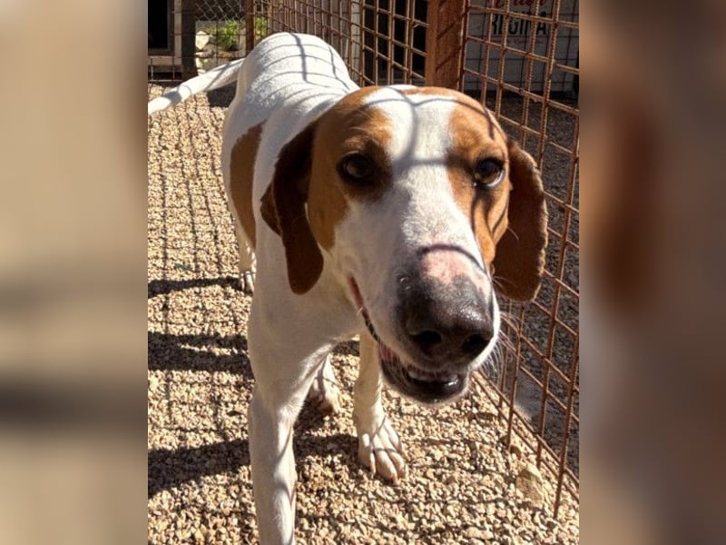 Jaron ❤️ aktiv, intelligent & so lieb!