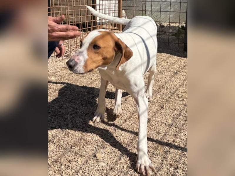 Jaron ❤️ aktiv, intelligent & so lieb!