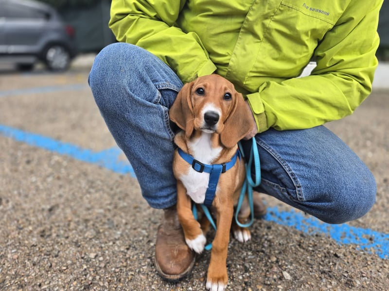Nala piccola. einfach nur Zucker