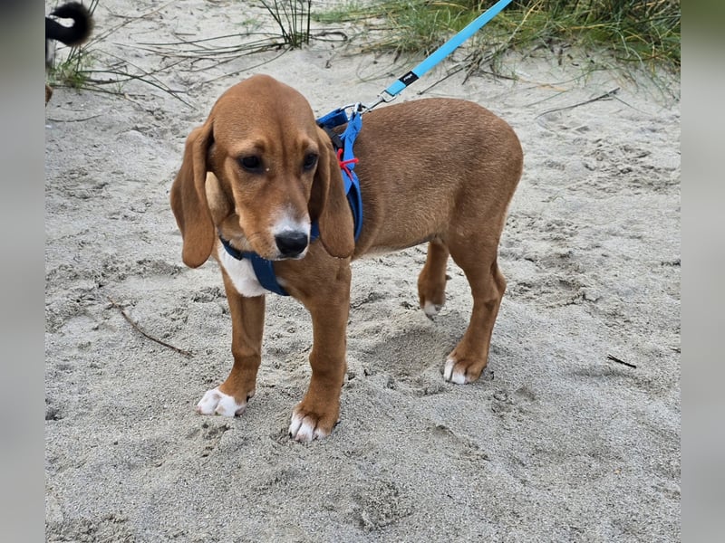 Nala piccola. einfach nur Zucker