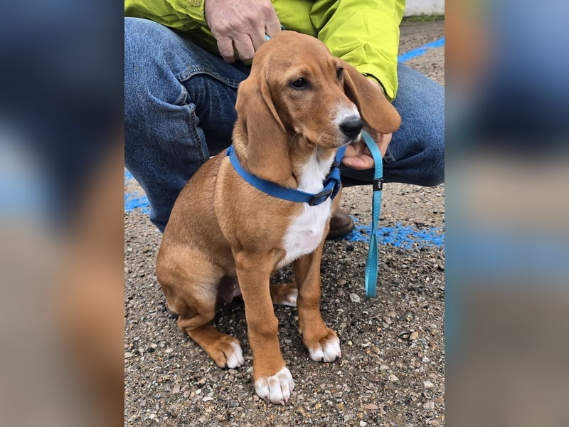 Nala piccola: einfach nur Zucker