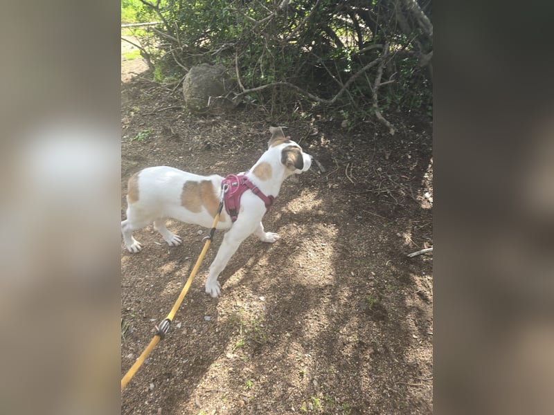 Nicolina: vom Parkplatz ins schöne Leben