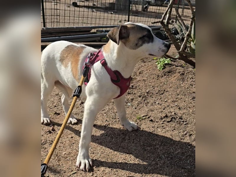 Nicoletta: vom Parkplatz ins schöne Leben