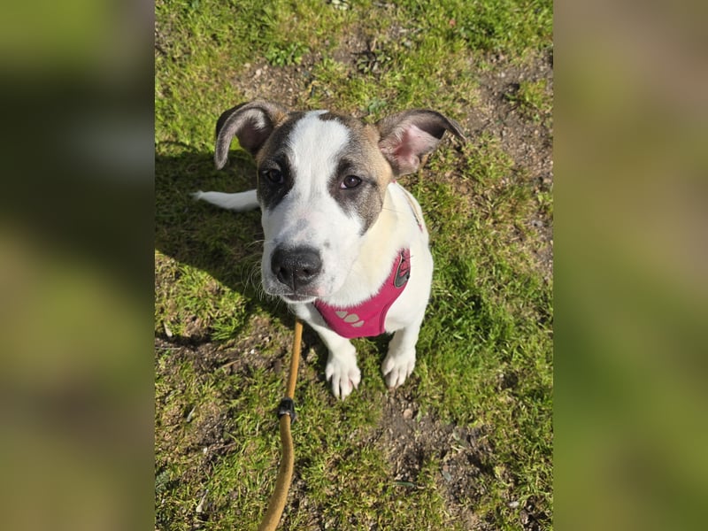 Nicolina: vom Parkplatz ins schöne Leben