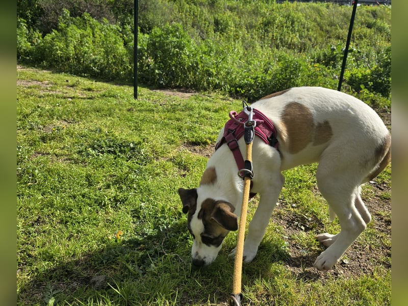 Nicolina: vom Parkplatz ins schöne Leben