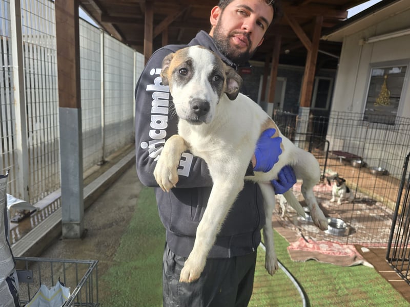 Nicolina: vom Parkplatz ins schöne Leben