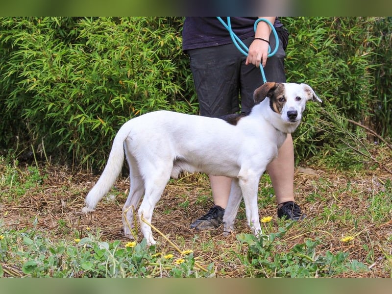 Sanft & unkompliziert  * ¥ * Senior CHICO